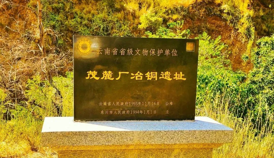 昆明公共文化云