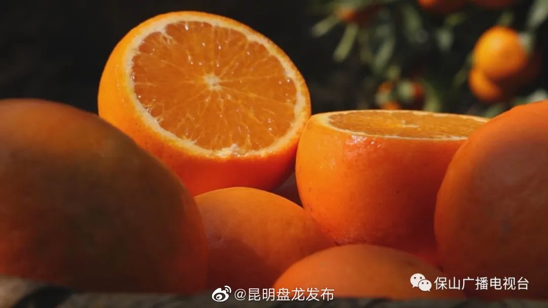 昆明盘龙发布