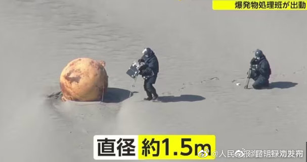 日本海滩现巨大神秘球 海保人员疑惑：从没见过