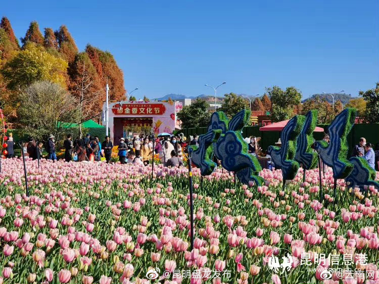 冲呀！本周末到捞渔河湿地公园赏郁金香迎花样元宵节