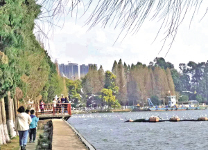 昆明市文化和旅游局