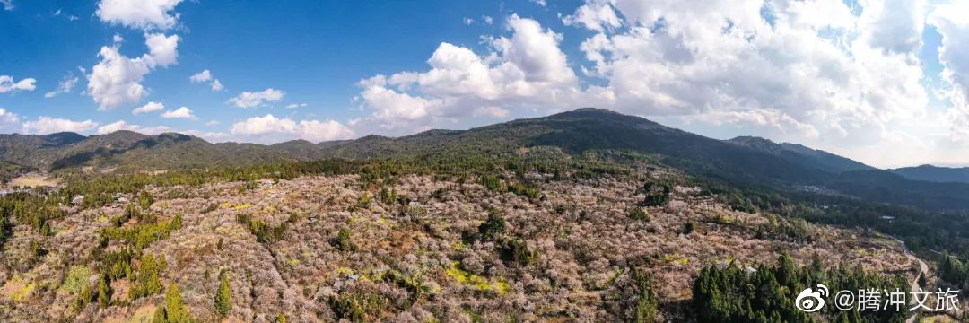 腾冲文旅微博