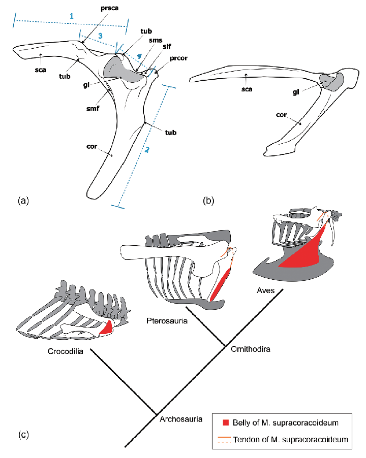 美丽云南微科普