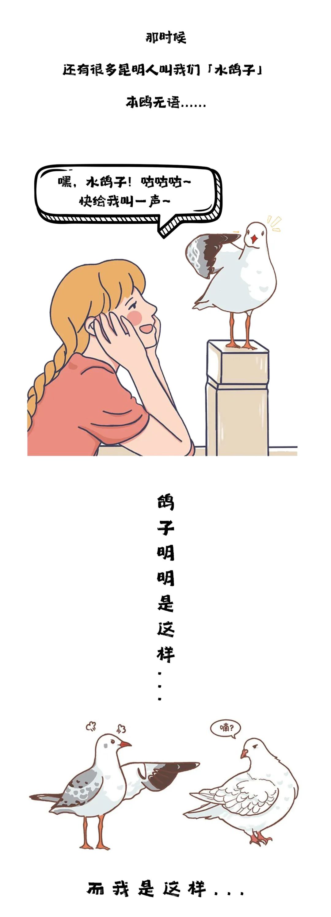 滇池度假发布