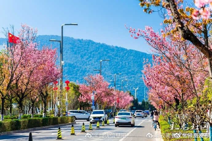 “云南发布”微博