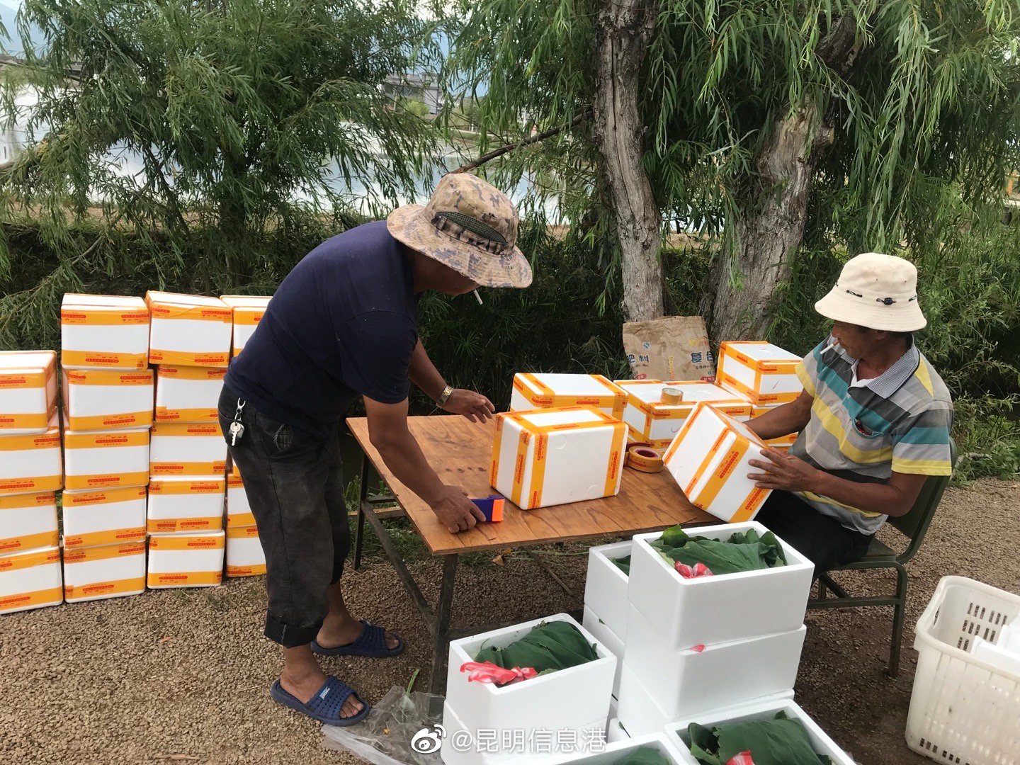 昆明信息港（微博）