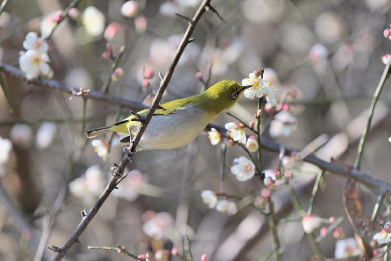 云南省文化和旅游厅