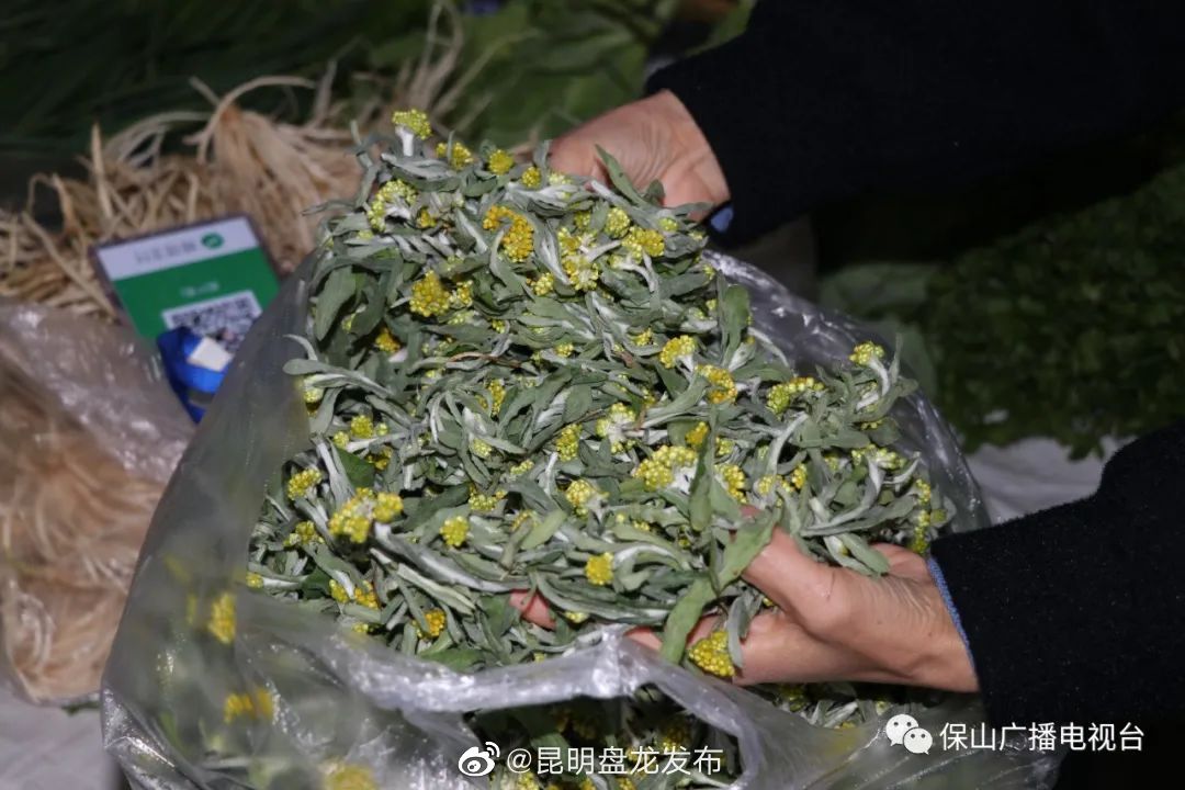 昆明盘龙发布