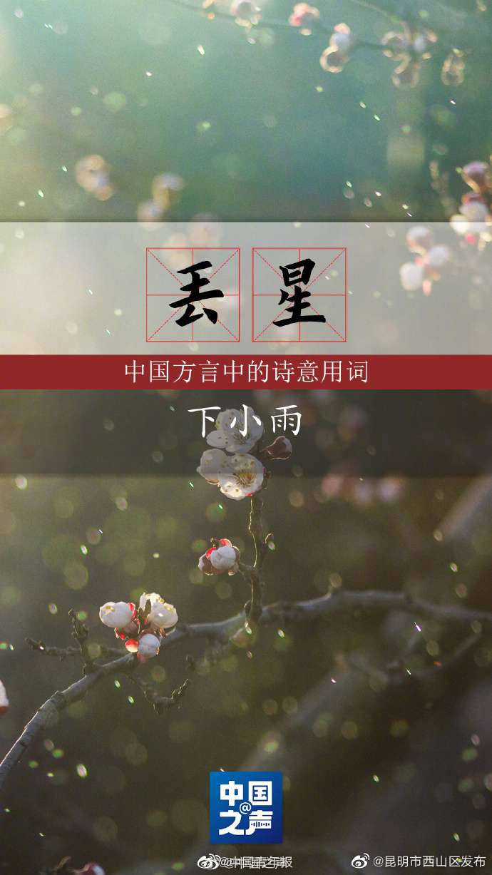 昆明市西山区发布