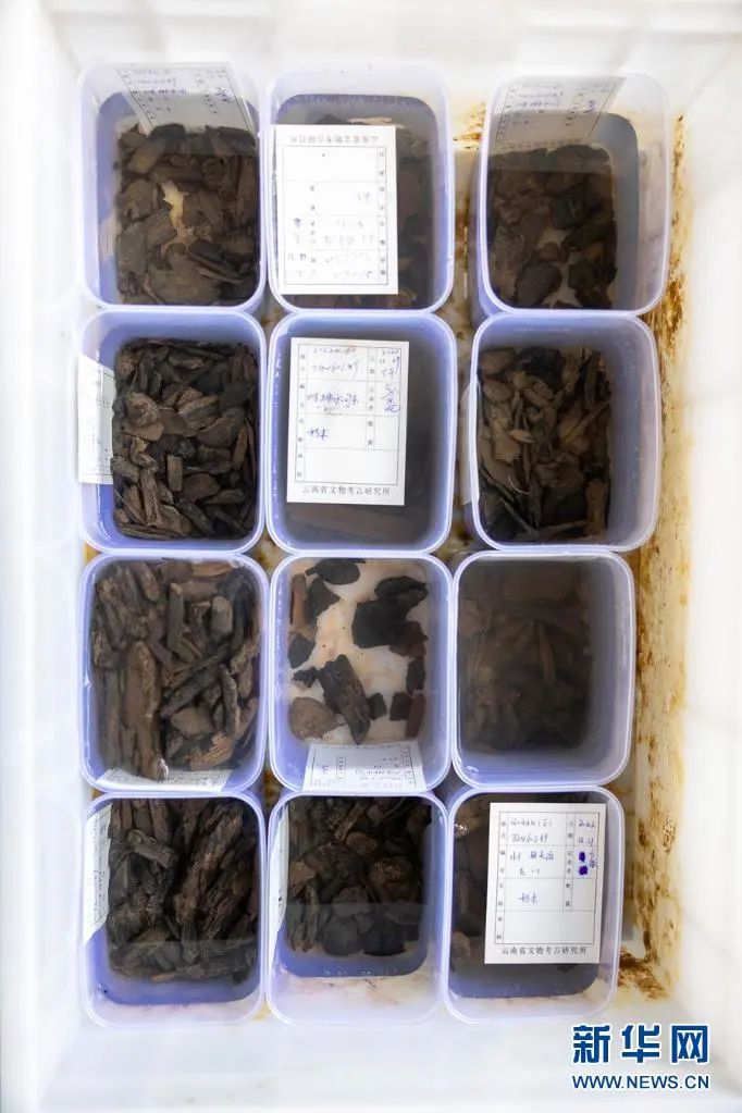 美丽云南微科普