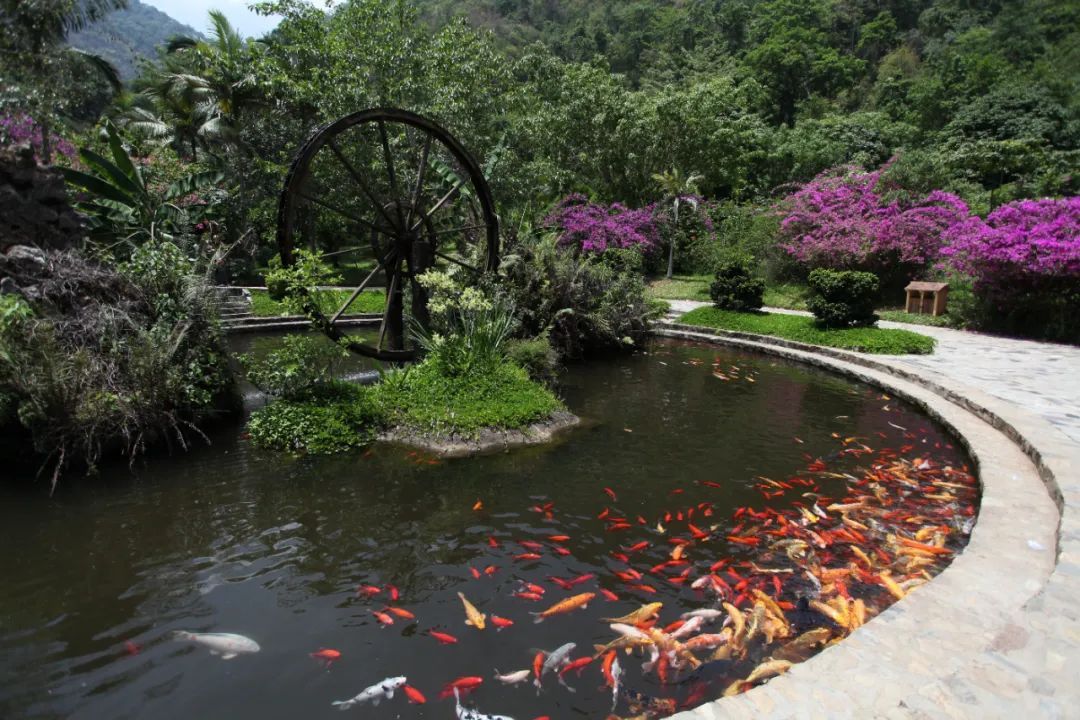 云南省文化和旅游厅