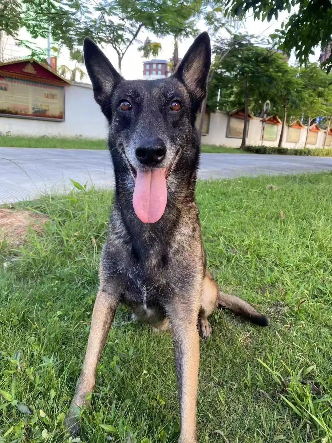 昆明信息港/cnkmxxg