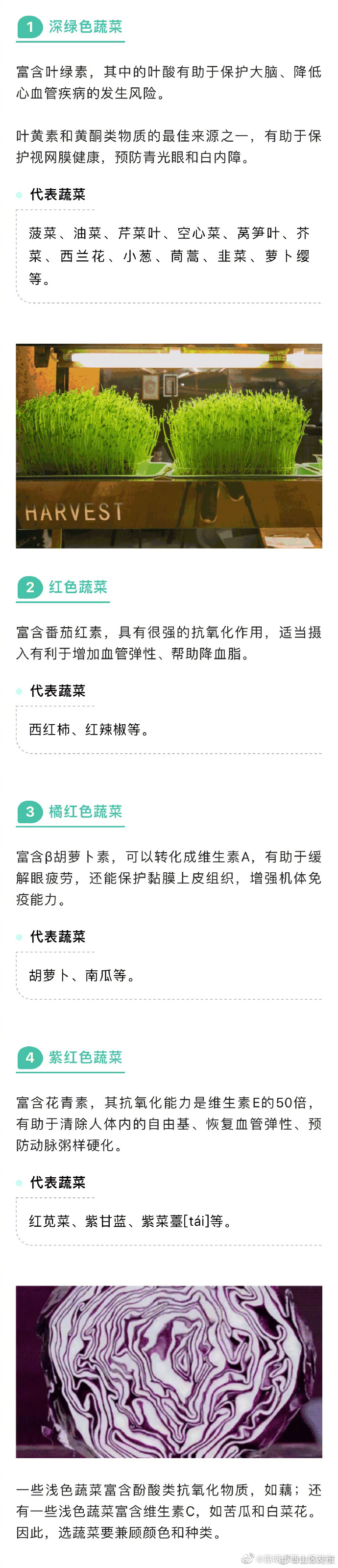 深色和浅色蔬菜营养有何区别