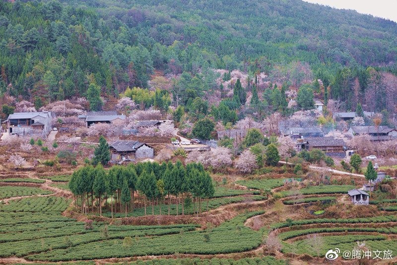 腾冲文旅微博