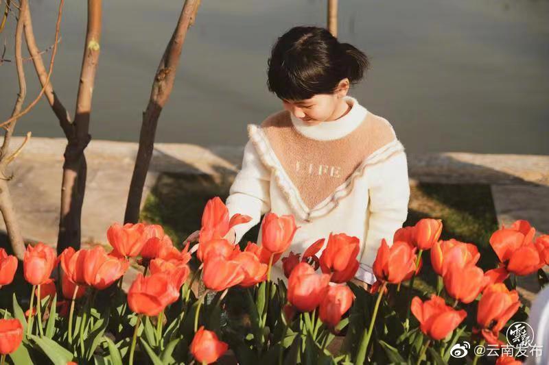 “云南发布”微博