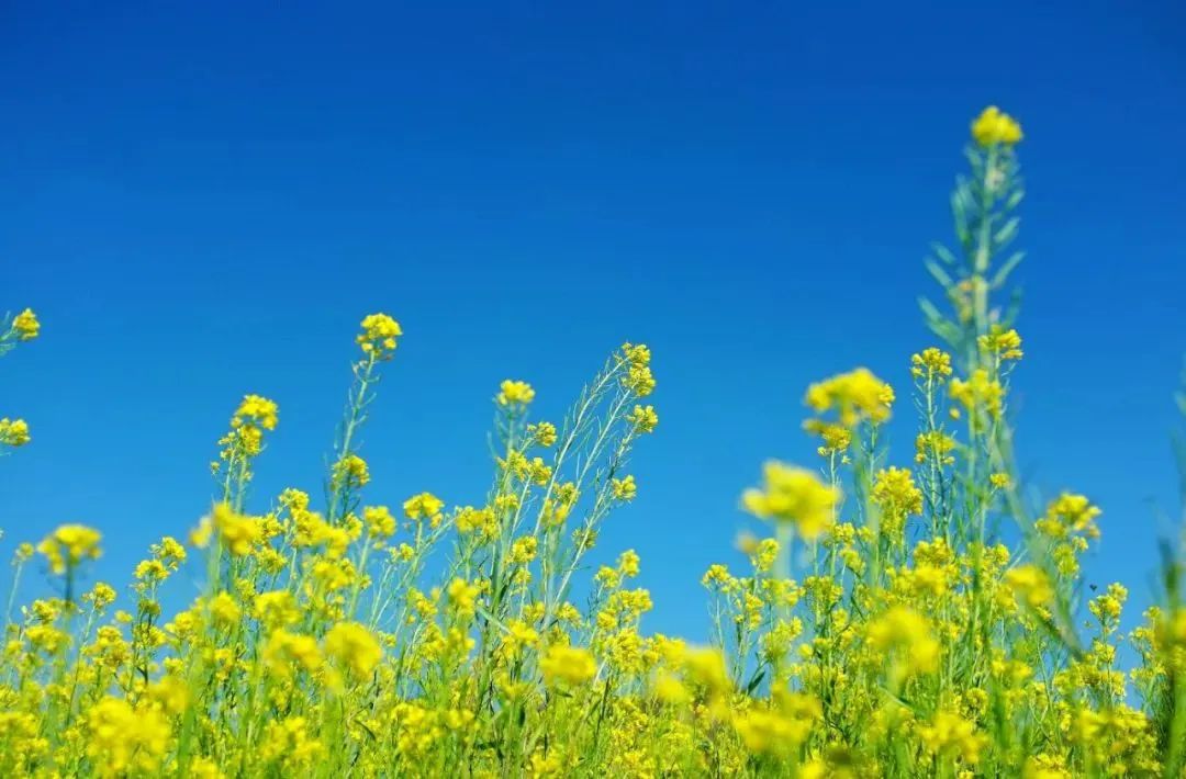 云南省文化和旅游厅