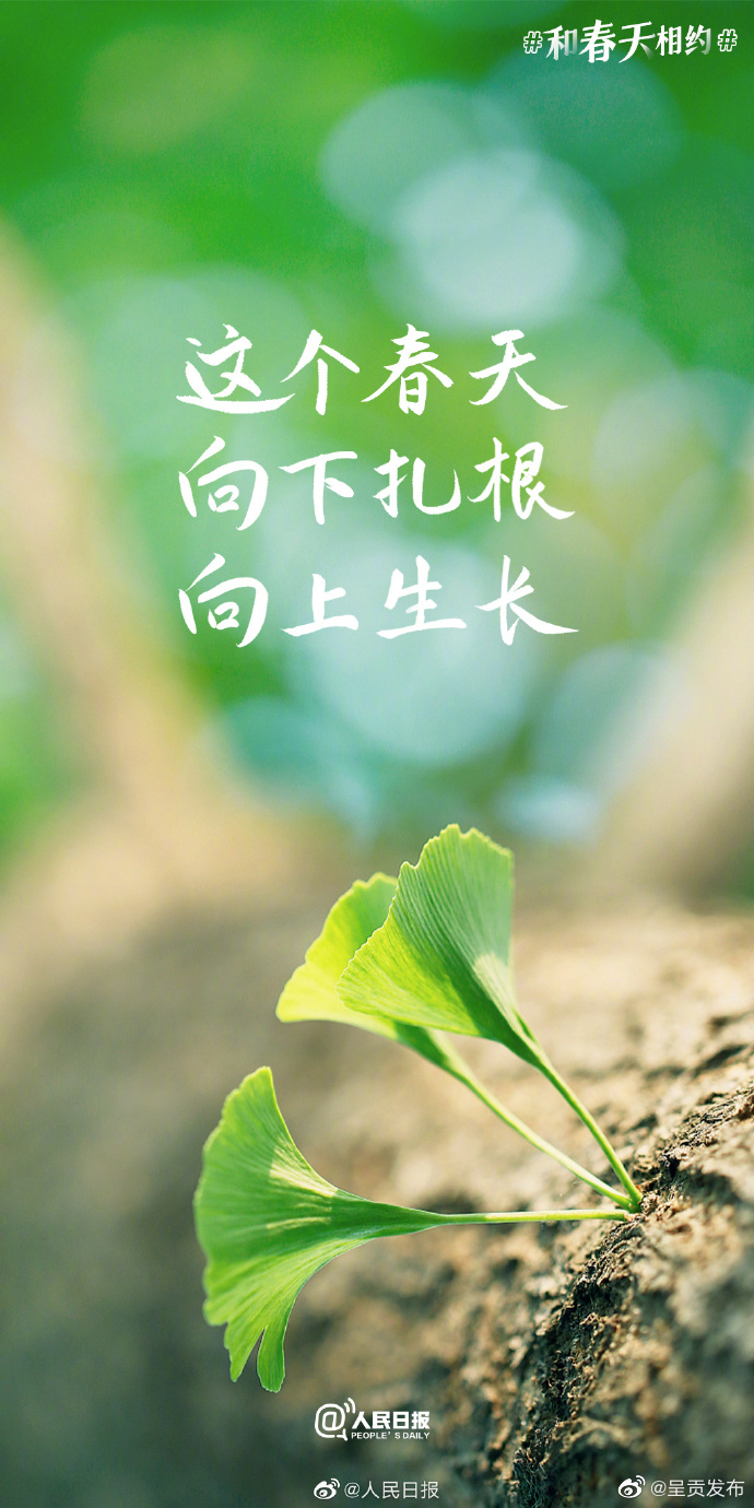 呈贡发布