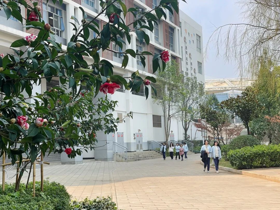 盘龙教育