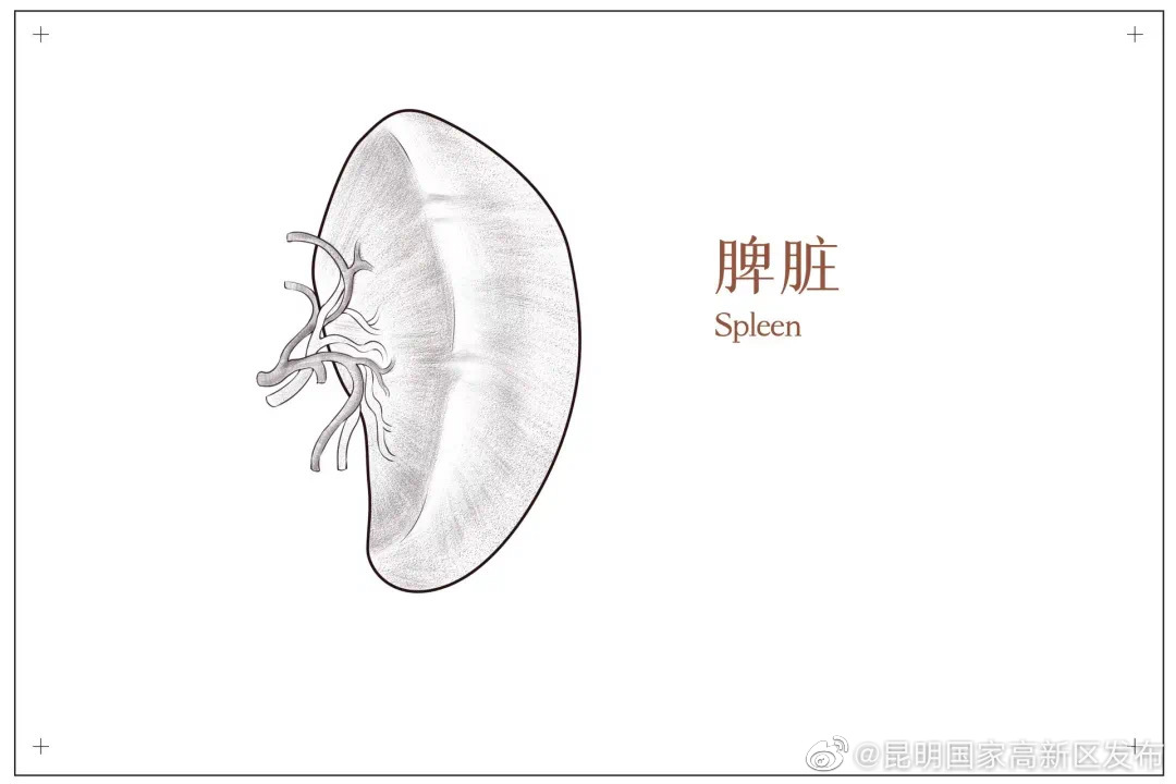 每餐一包 四季健脾胃 | 这种零食，或是脾虚“祸根”！再喜欢也要少吃