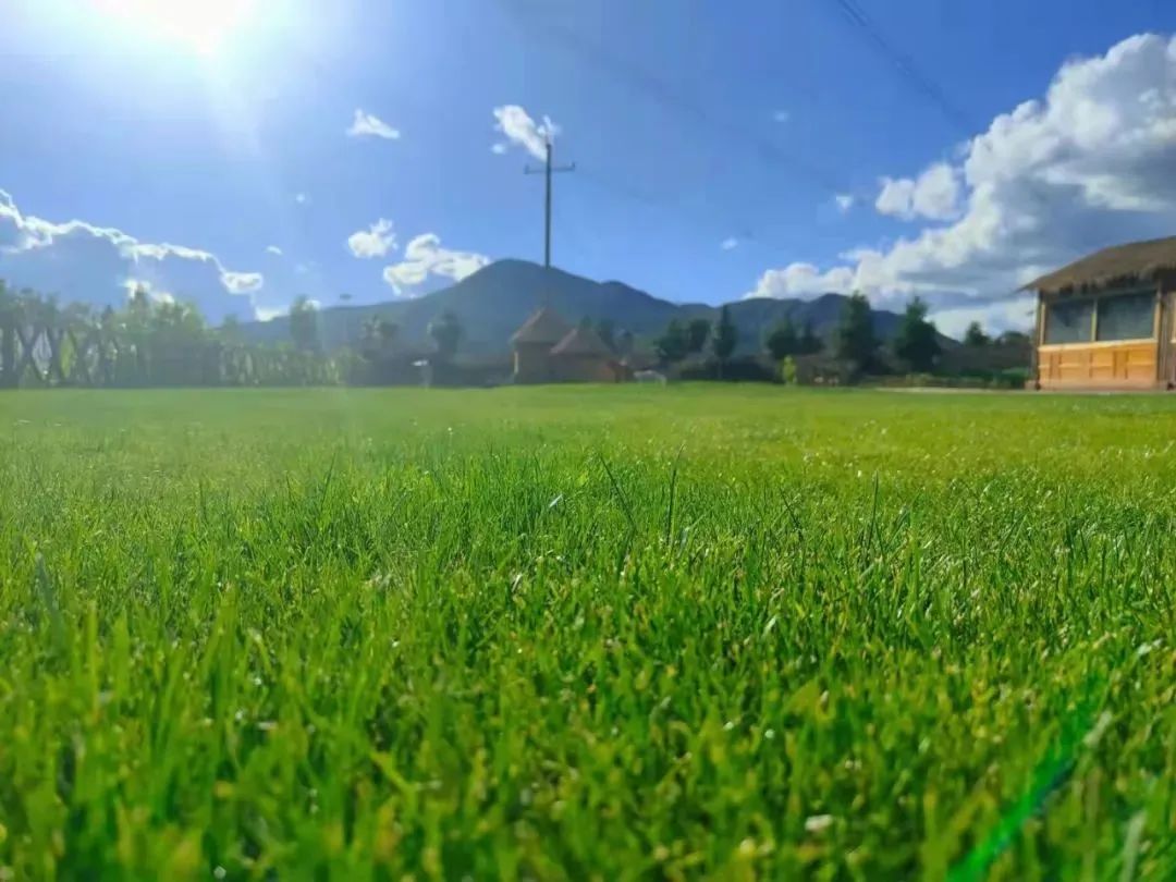 云南省文化和旅游厅