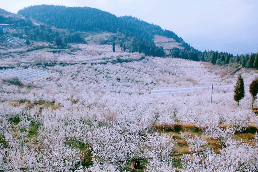 一部手机游云南