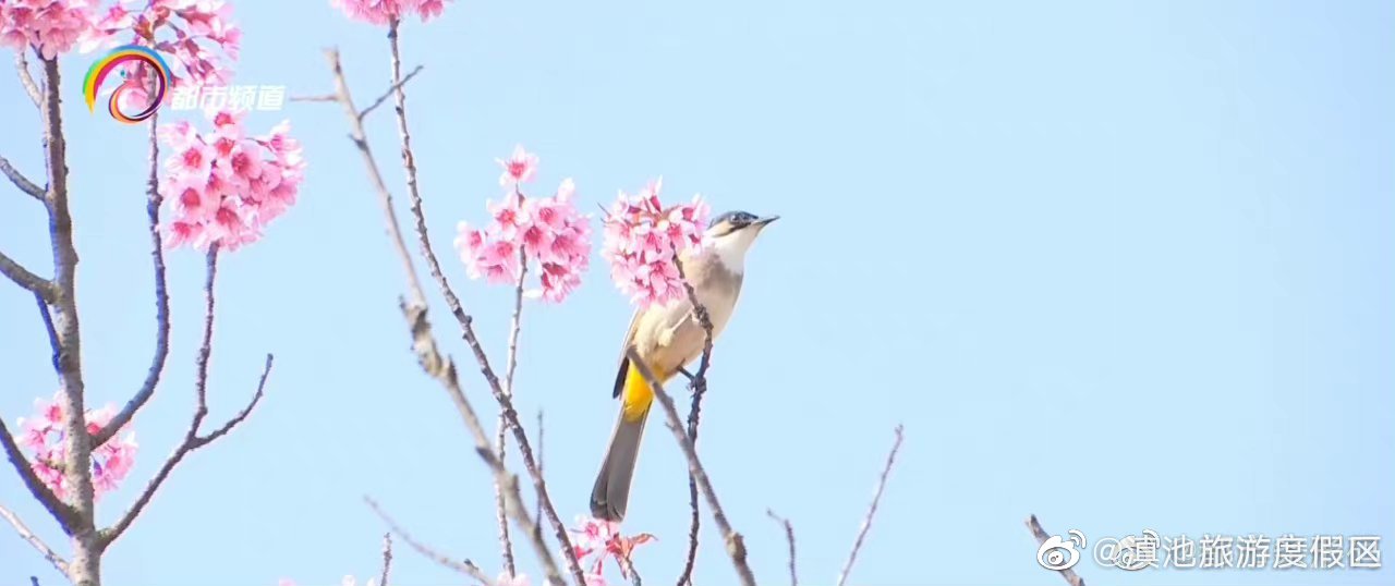 滇池旅游度假区