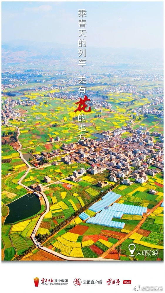 呈贡发布