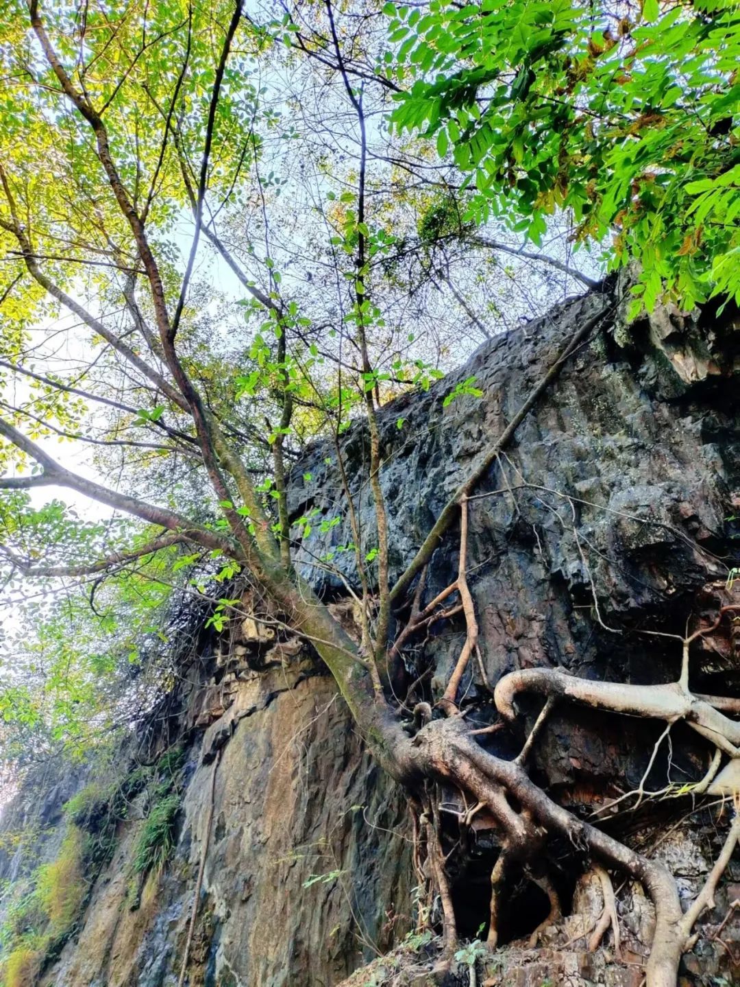 云南省文化和旅游厅
