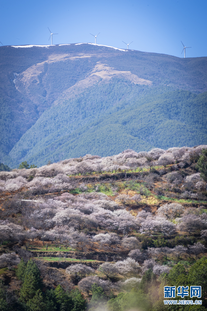 云南省文化和旅游厅