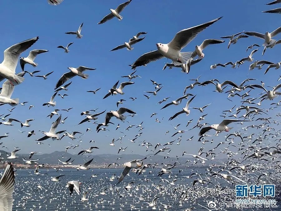 滇池旅游度假区