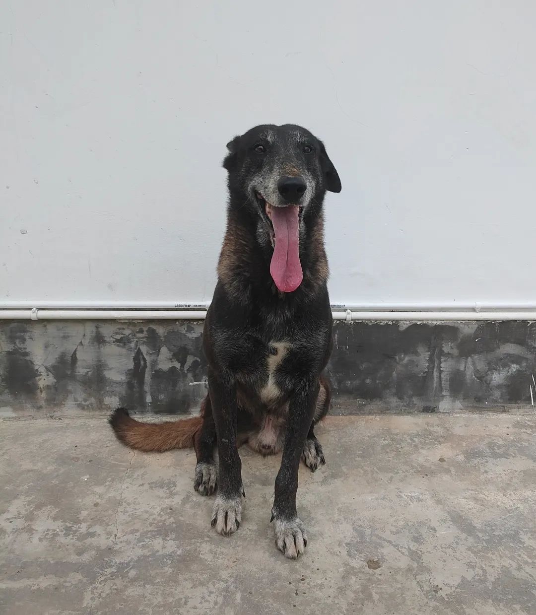 昆明信息港/cnkmxxg