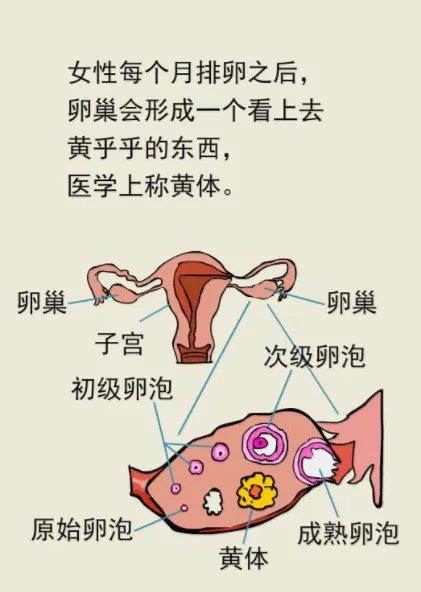 云南省中医医院