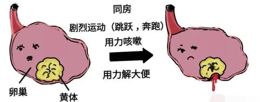 云南省中医医院