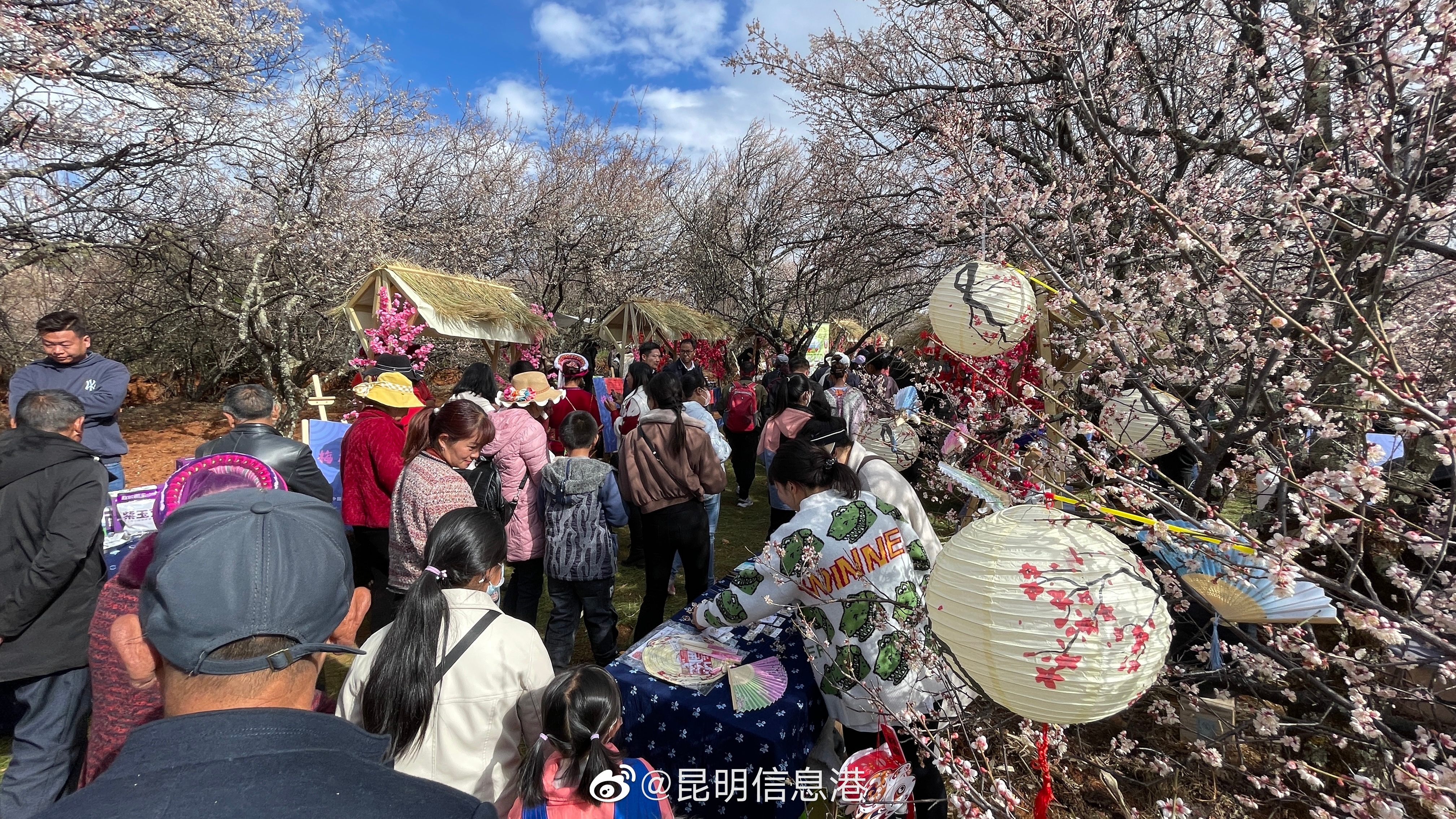 昆明信息港（微博）