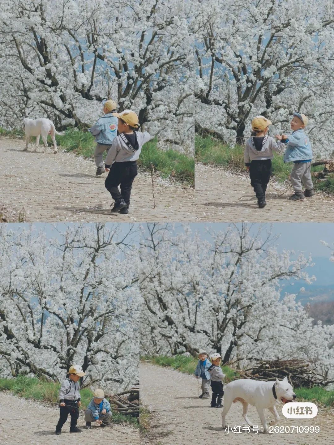 一部手机游云南