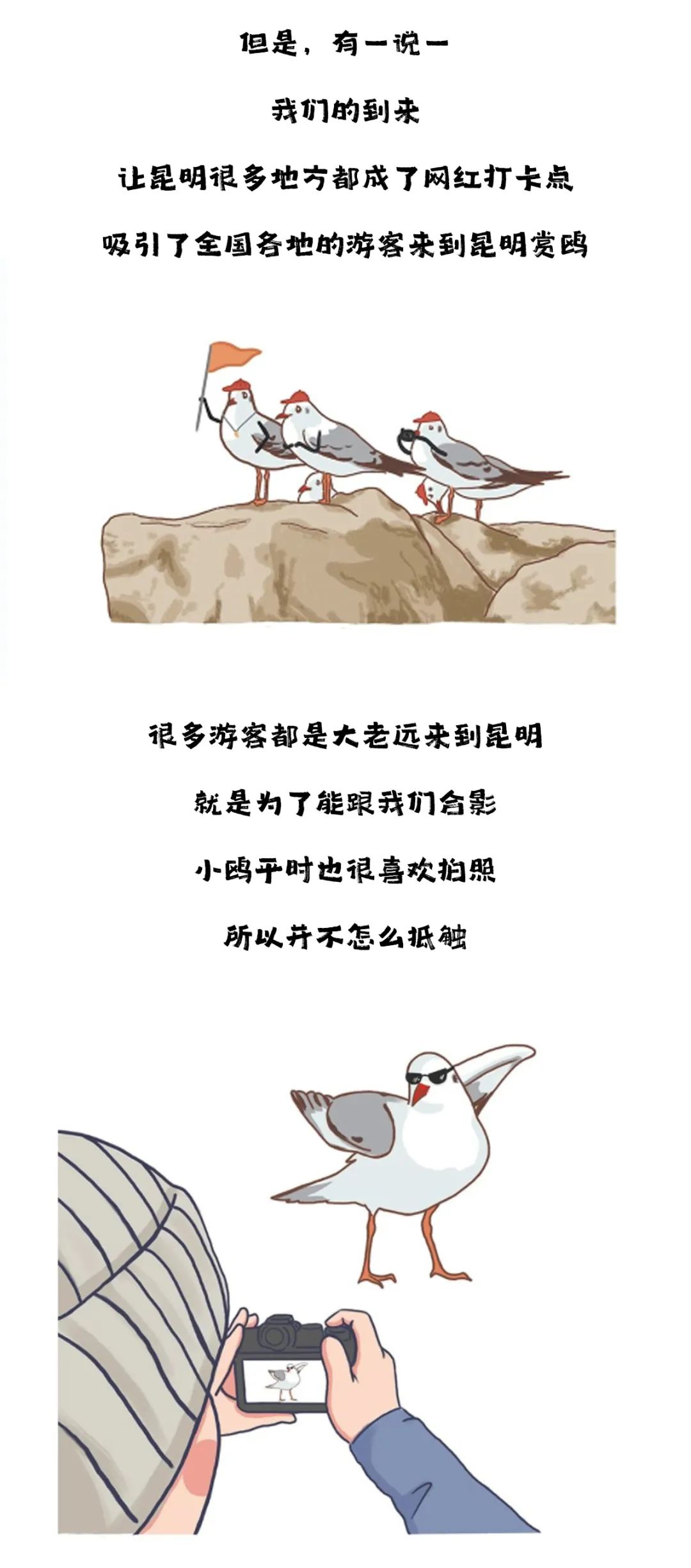 滇池度假发布
