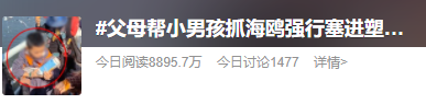 掌上春城