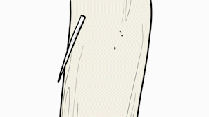 昆明市西山区发布