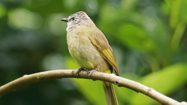 一部手机游云南