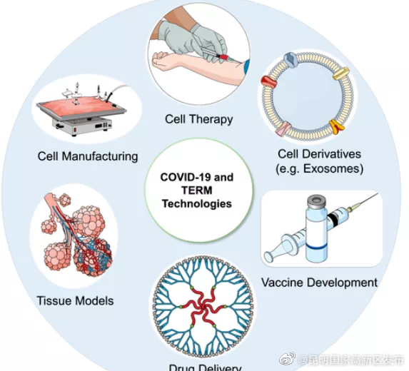 新冠后遗症的顽疾克星——干细胞疗法