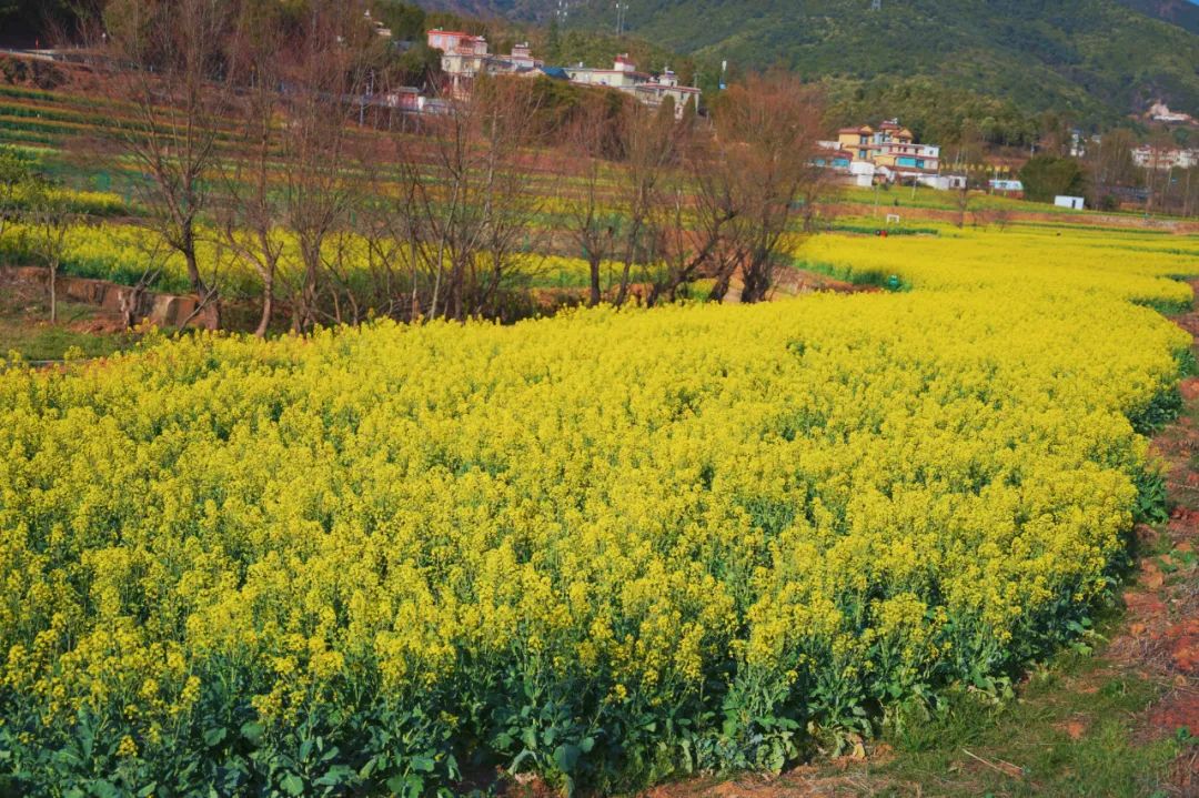 918云南交通台(微信)