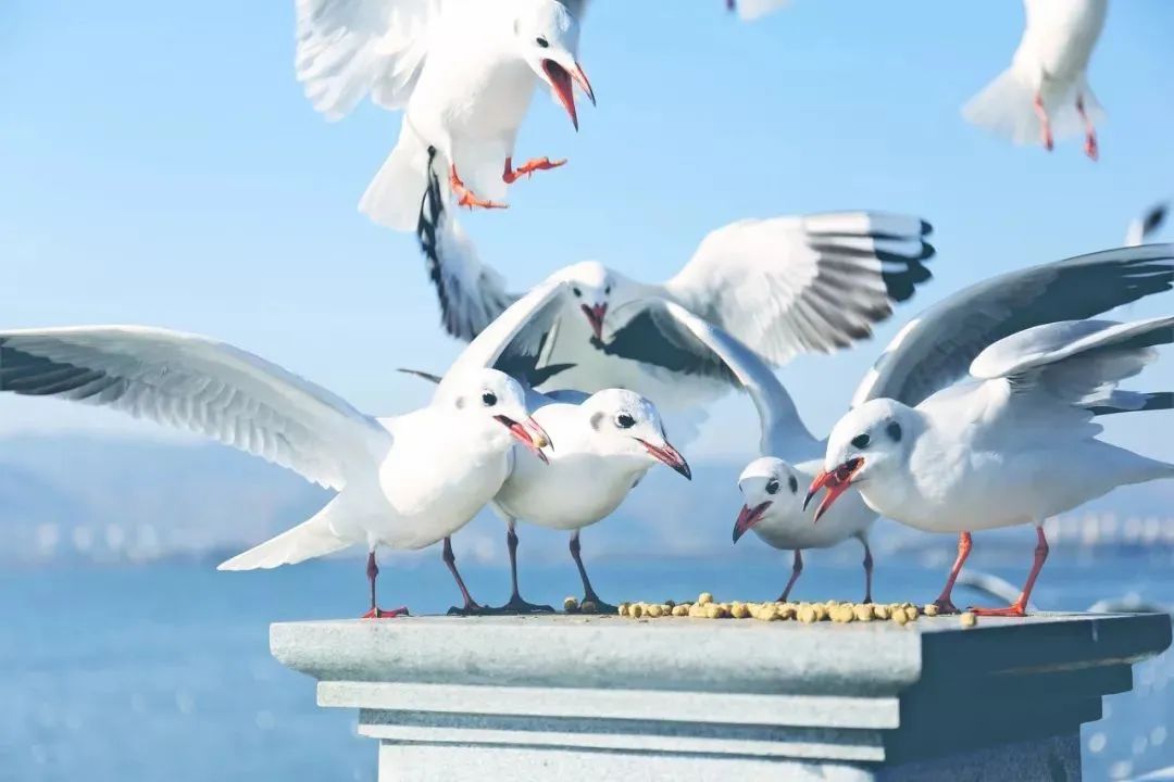 昆明文旅