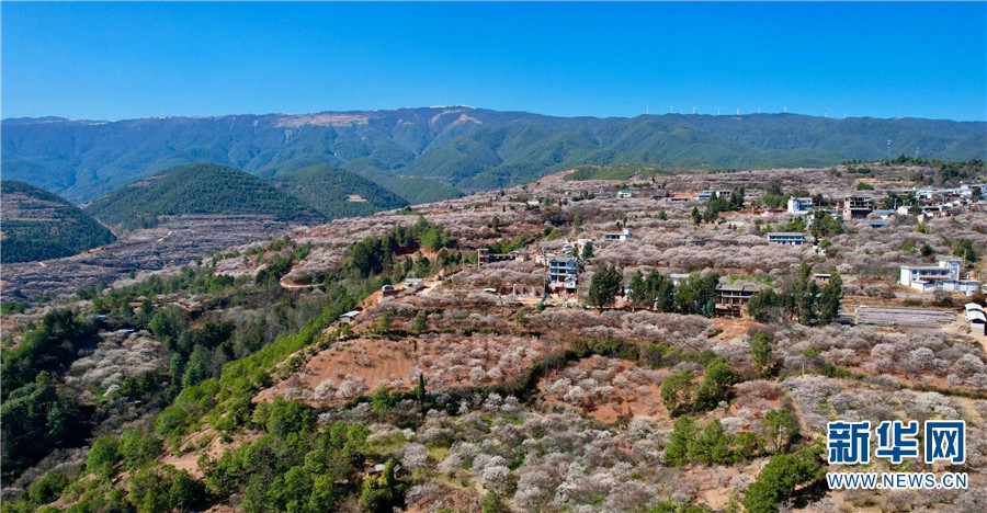 云南省文化和旅游厅