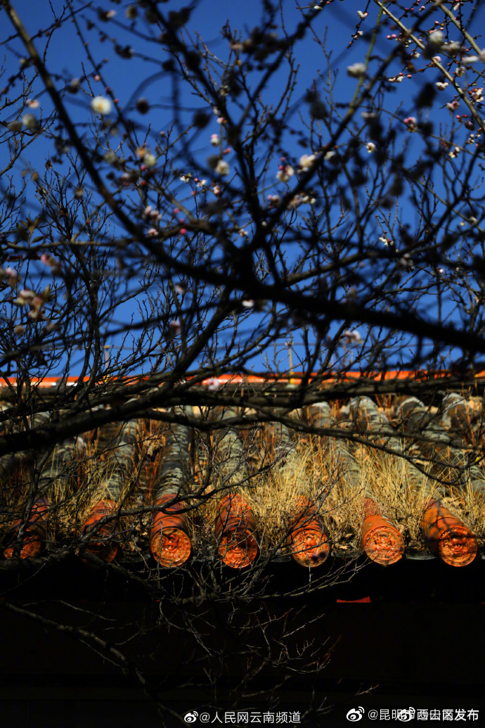 昆明市西山区发布