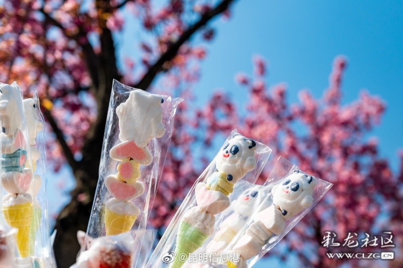 昆明信息港（微博）