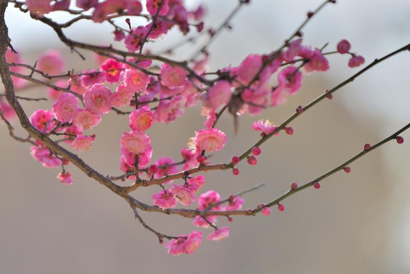 云南省文化和旅游厅