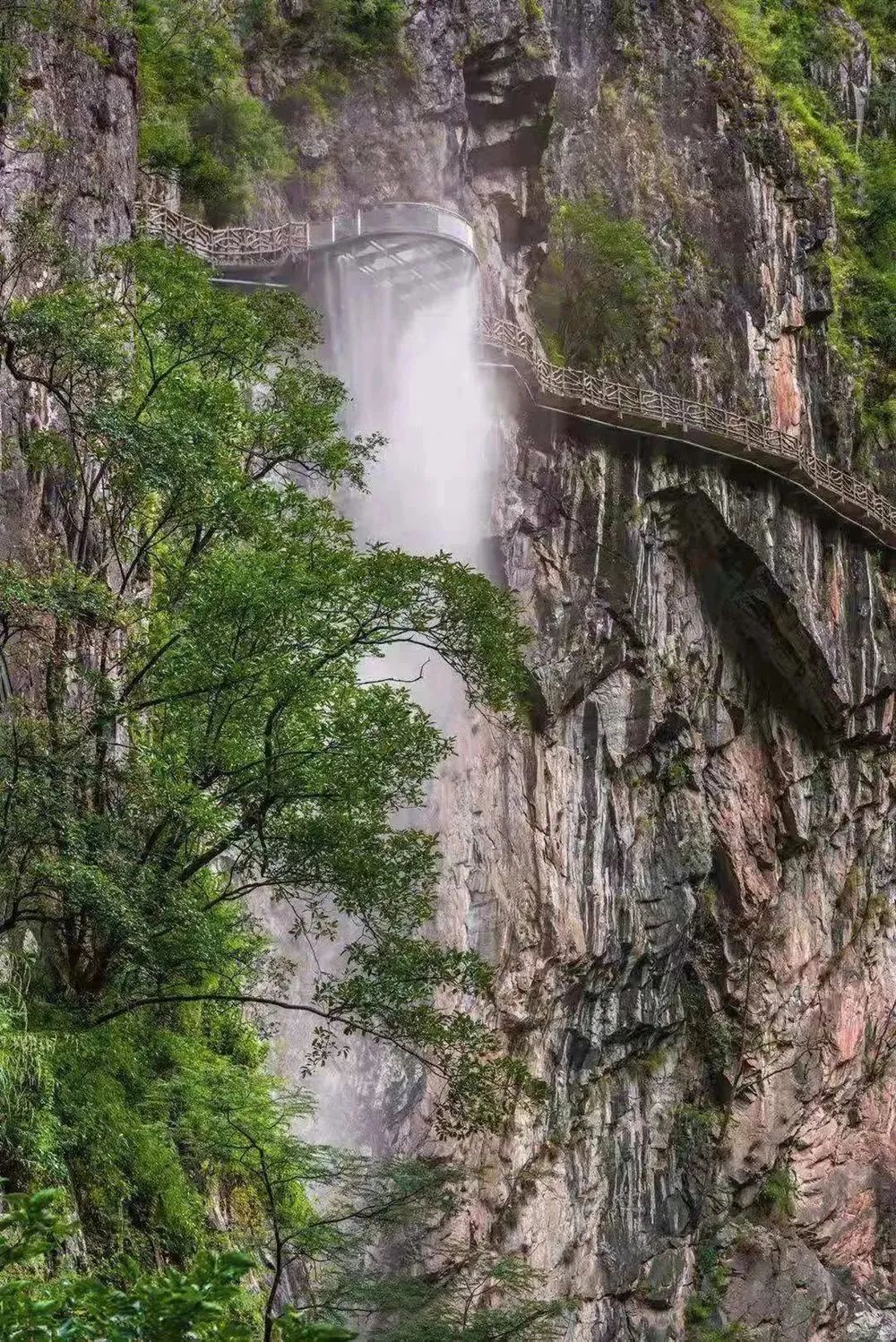 大理电视台