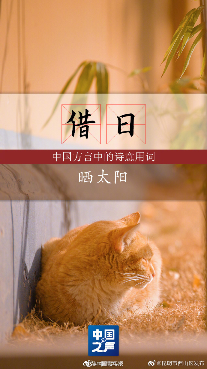 昆明市西山区发布