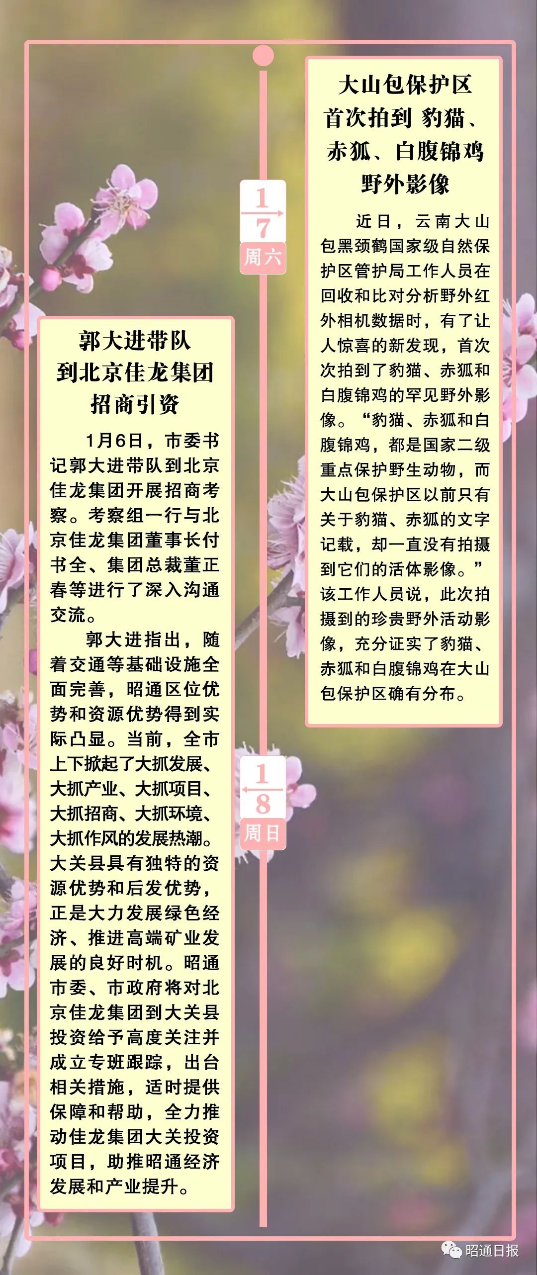 昭通日报
