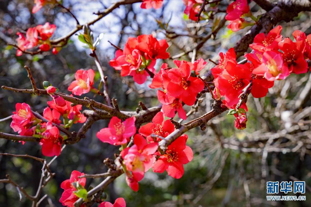 云南省文化和旅游厅